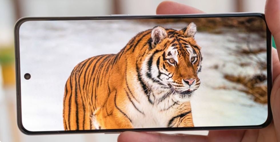 Realme GT Neo 6 SE Display